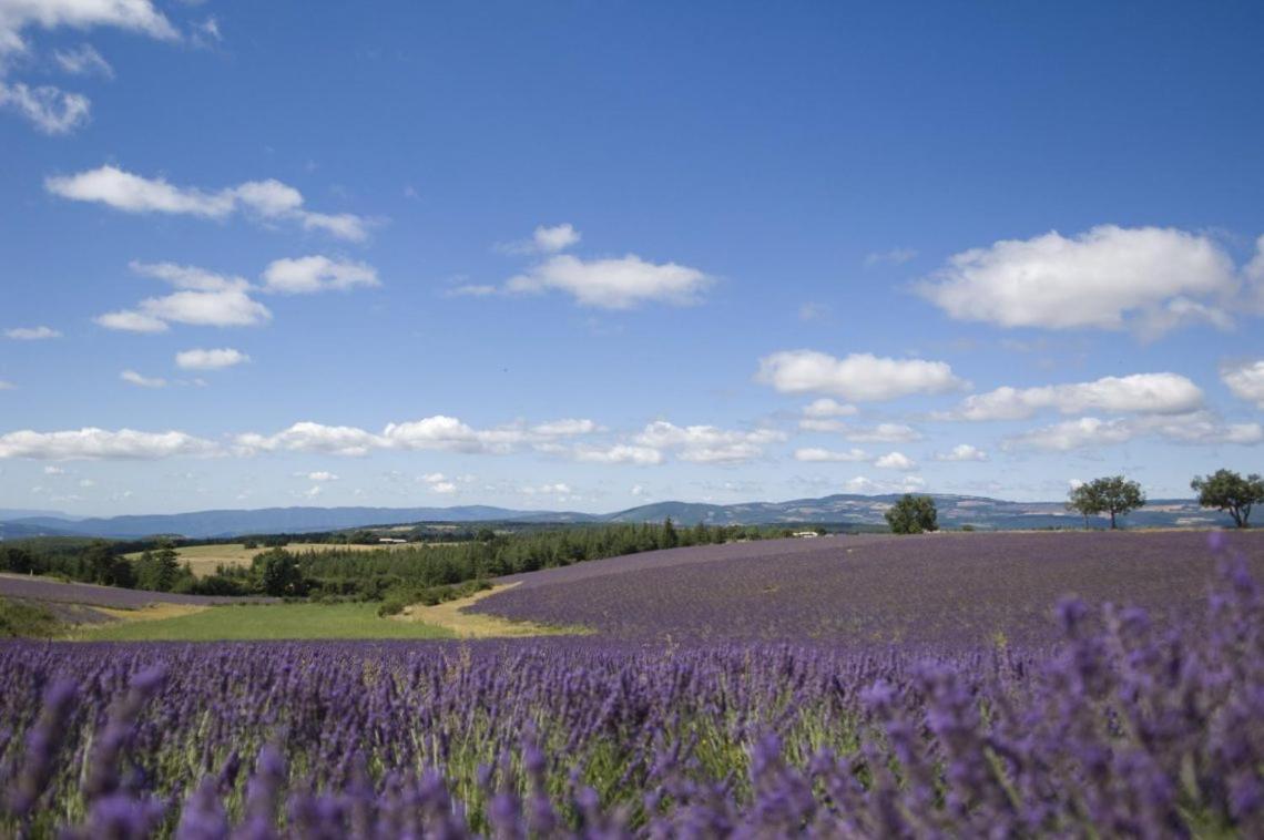 Bien Equipe 2 Lit 2 Place, Canape Lit, 5 Personnes, Terrasse Bien Equipe, Planchas, Parking Gratuit Sur Place, A Proximite De Commerce Et De Cure Thermal, Cadarache ,forcalquier, Gorge Du Verdon , Moustier, Montagne De Appartement Volx